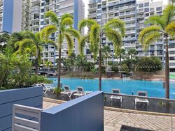 Miltonia Close (D27), Terrace #486765771